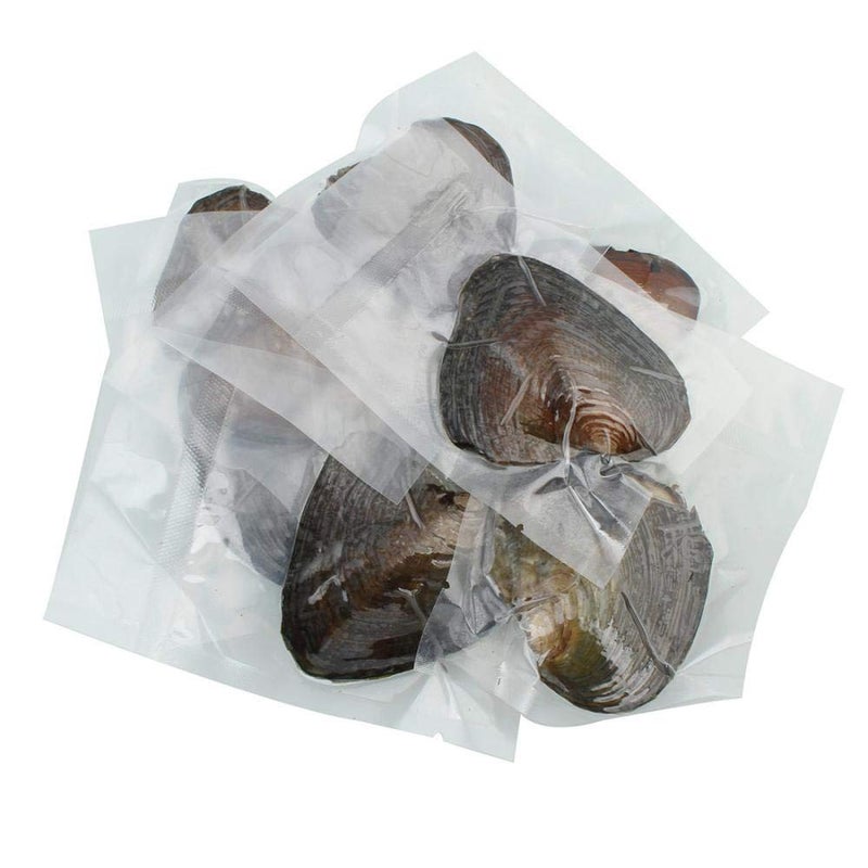 JNMM 30PCS Freshwater Pearl Oyster Cultured Love Wish Round Pearls Various Shining Meaningful Color, Oysters with Pearls Inside (6-8mm, 30 Pcs/lot) - Image 4